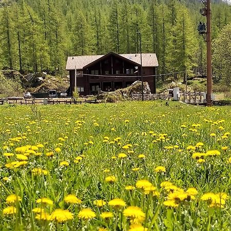 Chalet Rosa Dei Monti Piamprato Eksteriør bilde