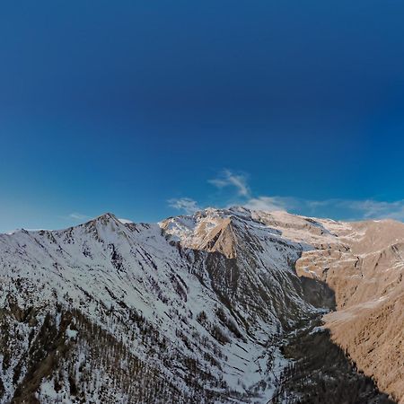 Chalet Rosa Dei Monti Piamprato Eksteriør bilde