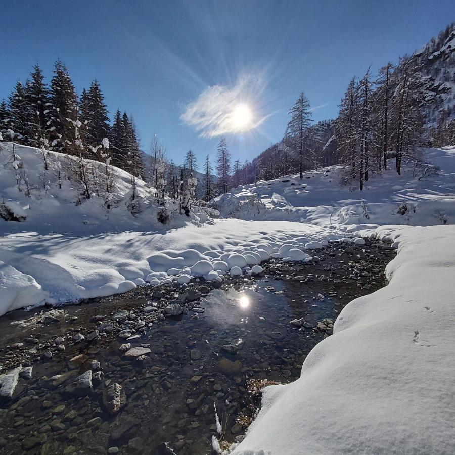 Chalet Rosa Dei Monti Piamprato Eksteriør bilde