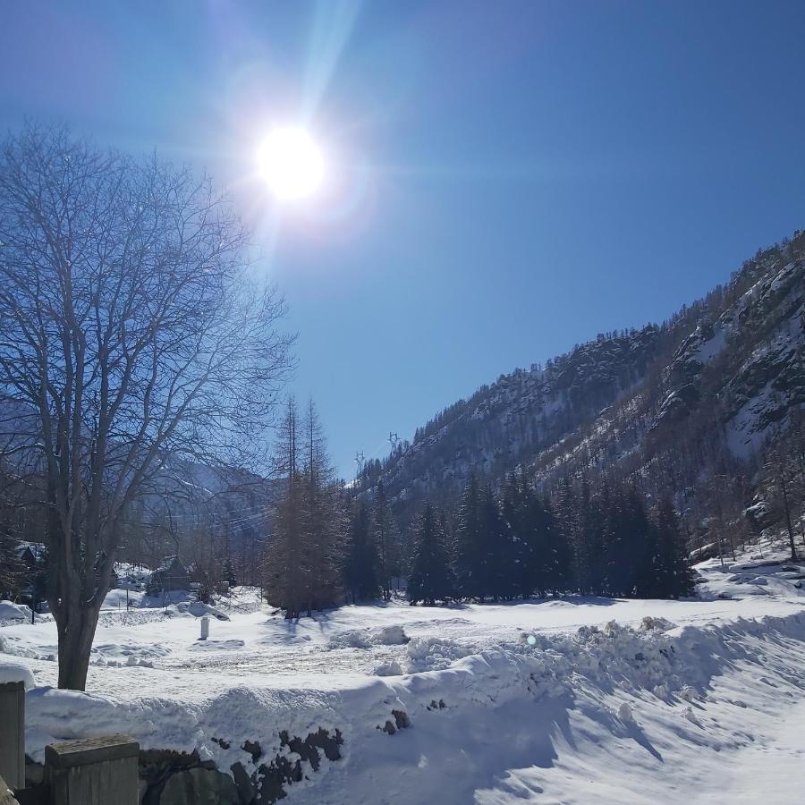 Chalet Rosa Dei Monti Piamprato Eksteriør bilde