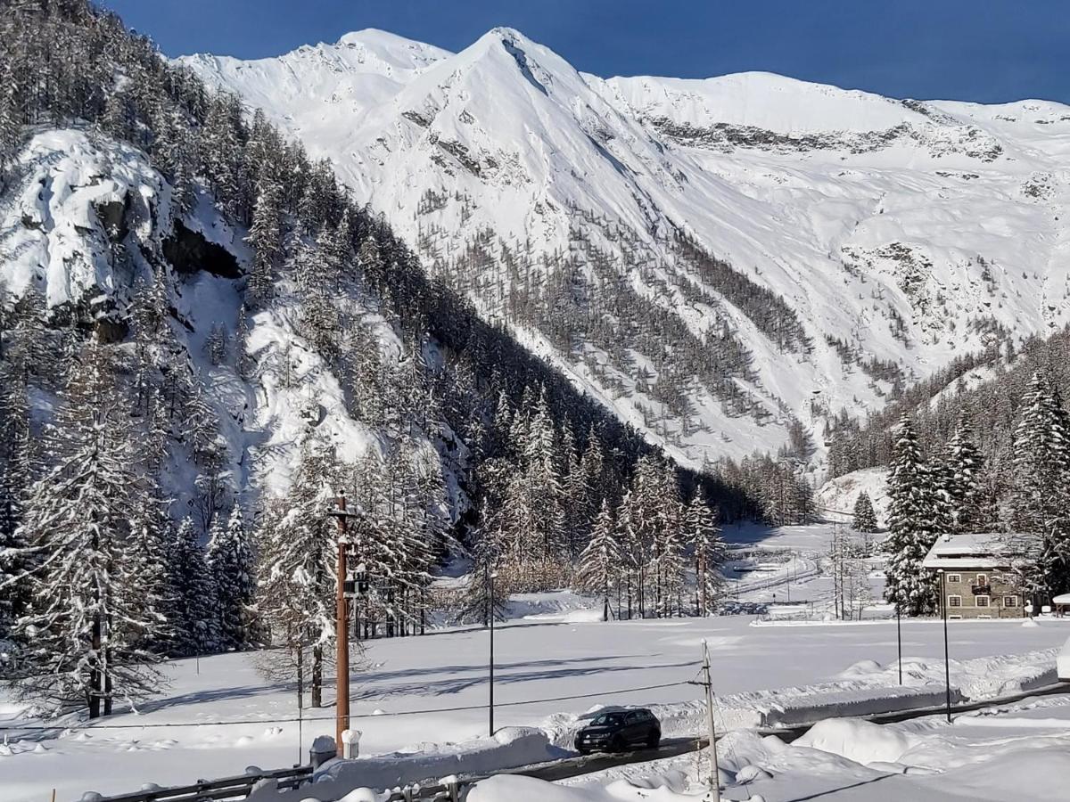 Chalet Rosa Dei Monti Piamprato Eksteriør bilde