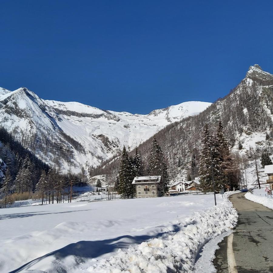 Chalet Rosa Dei Monti Piamprato Eksteriør bilde
