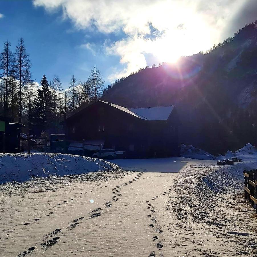 Chalet Rosa Dei Monti Piamprato Eksteriør bilde