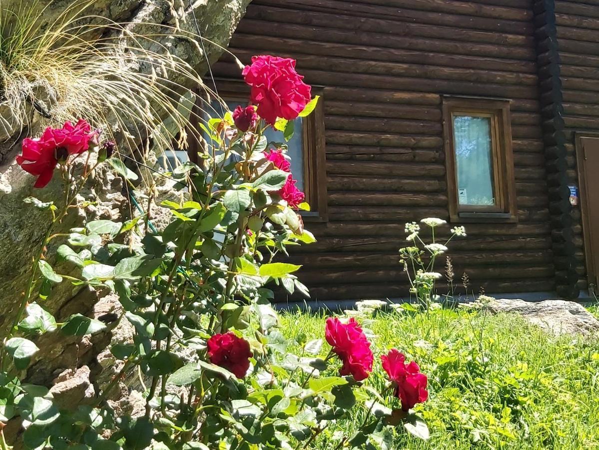 Chalet Rosa Dei Monti Piamprato Eksteriør bilde
