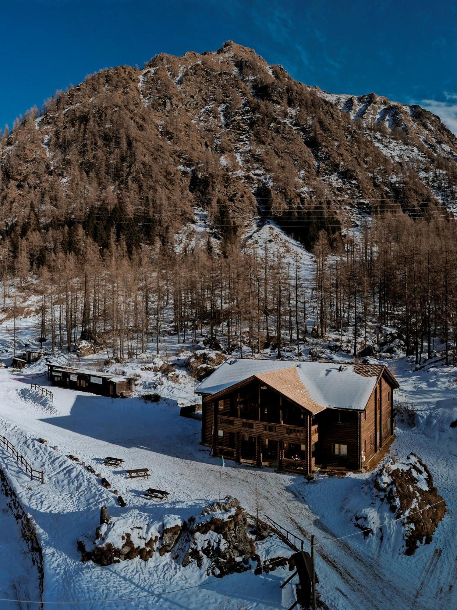 Chalet Rosa Dei Monti Piamprato Eksteriør bilde
