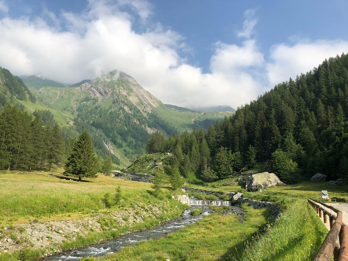Chalet Rosa Dei Monti Piamprato Eksteriør bilde