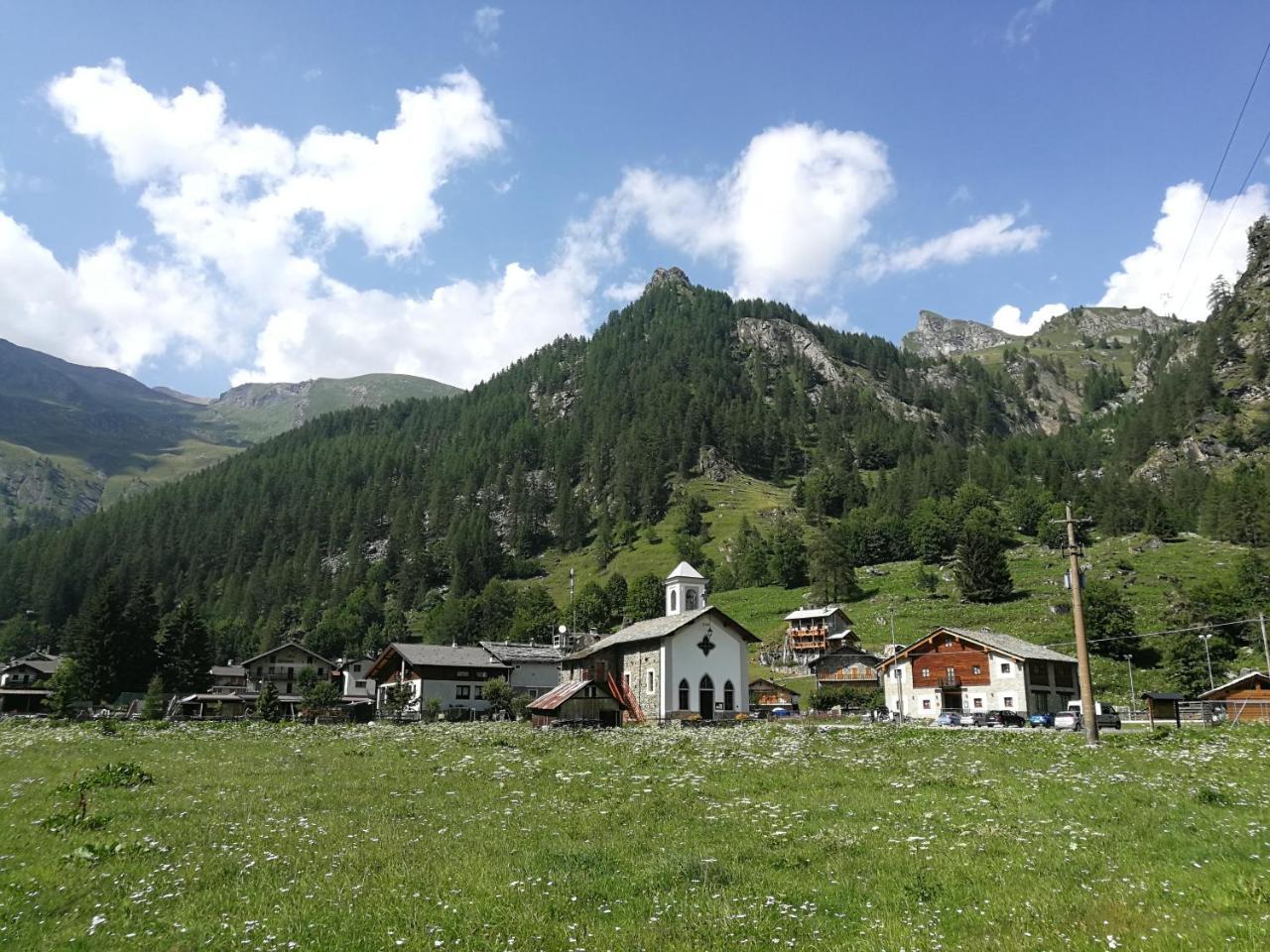Chalet Rosa Dei Monti Piamprato Eksteriør bilde