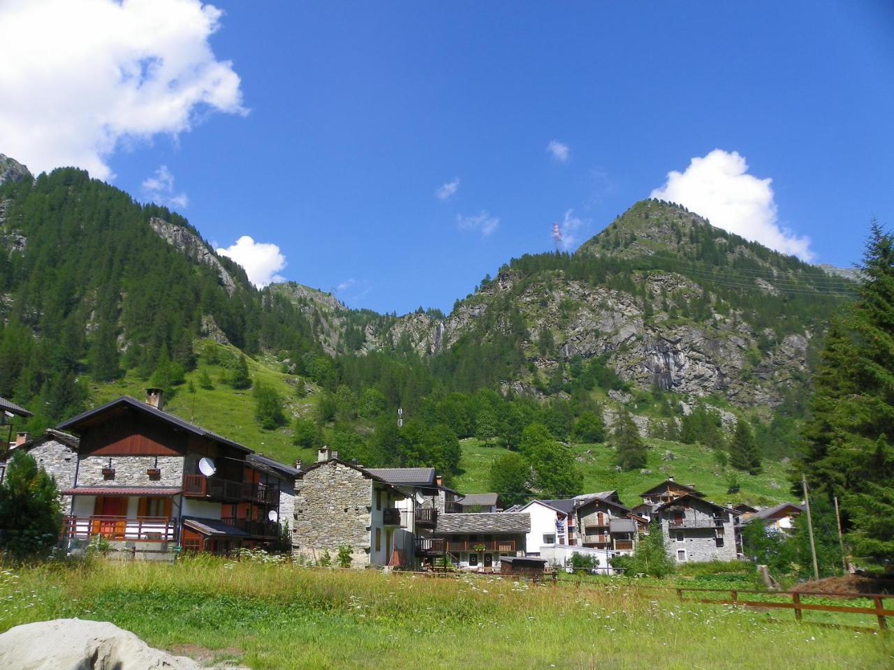 Chalet Rosa Dei Monti Piamprato Eksteriør bilde