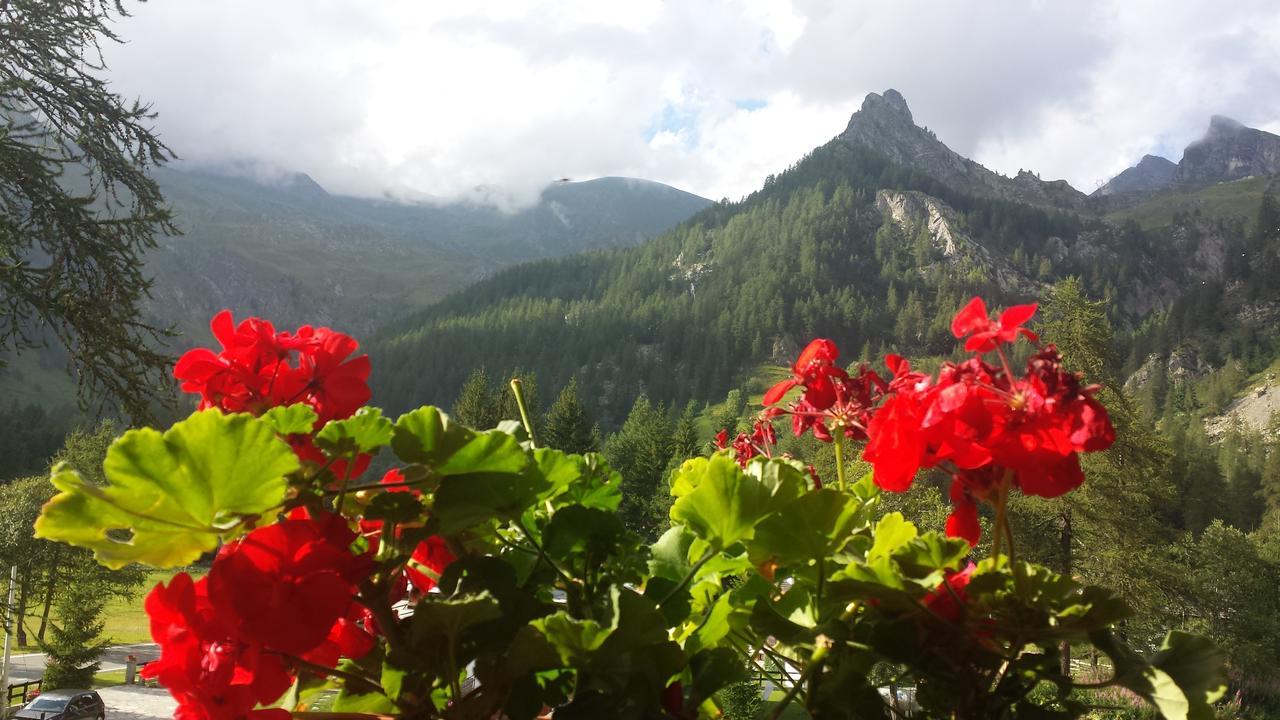 Chalet Rosa Dei Monti Piamprato Eksteriør bilde
