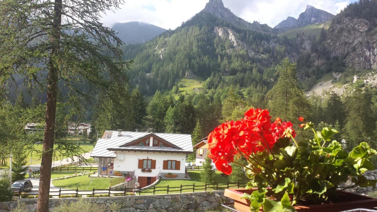 Chalet Rosa Dei Monti Piamprato Eksteriør bilde