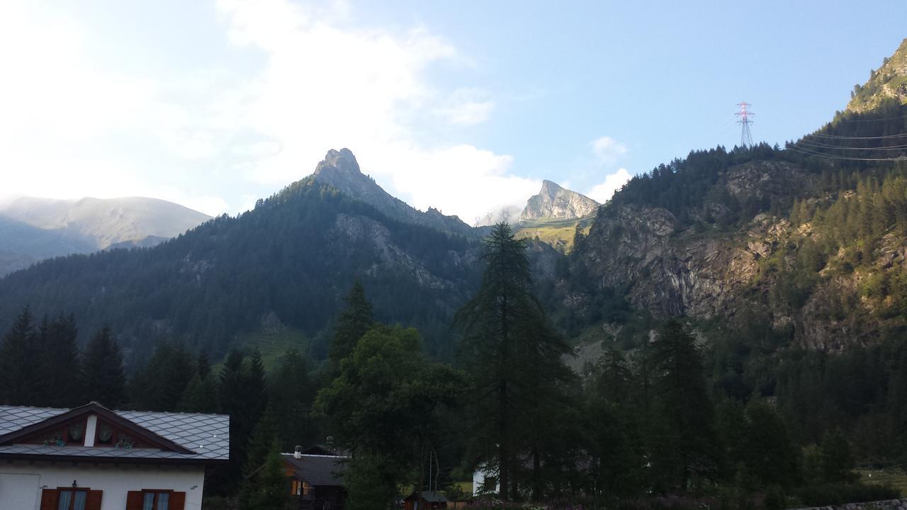 Chalet Rosa Dei Monti Piamprato Eksteriør bilde