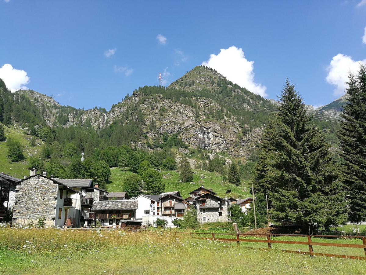 Chalet Rosa Dei Monti Piamprato Eksteriør bilde
