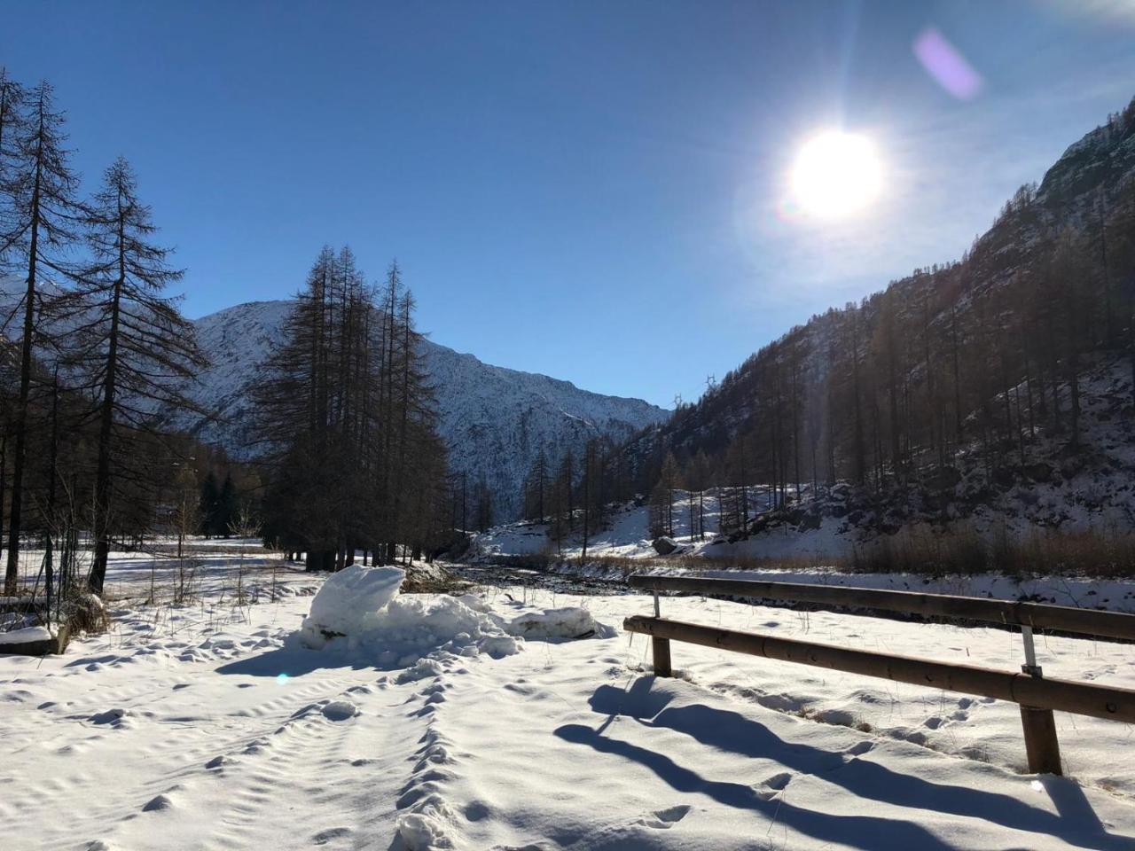 Chalet Rosa Dei Monti Piamprato Eksteriør bilde