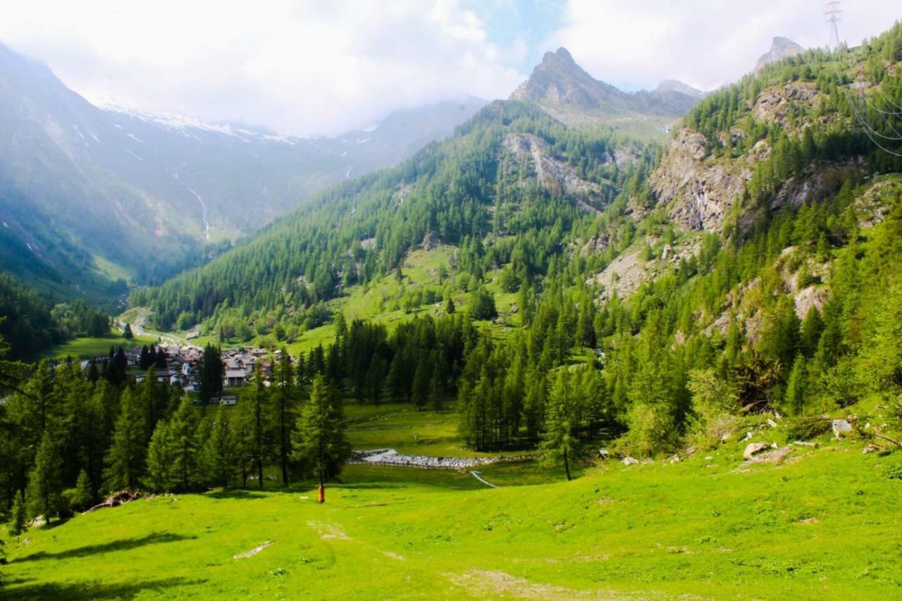 Chalet Rosa Dei Monti Piamprato Eksteriør bilde