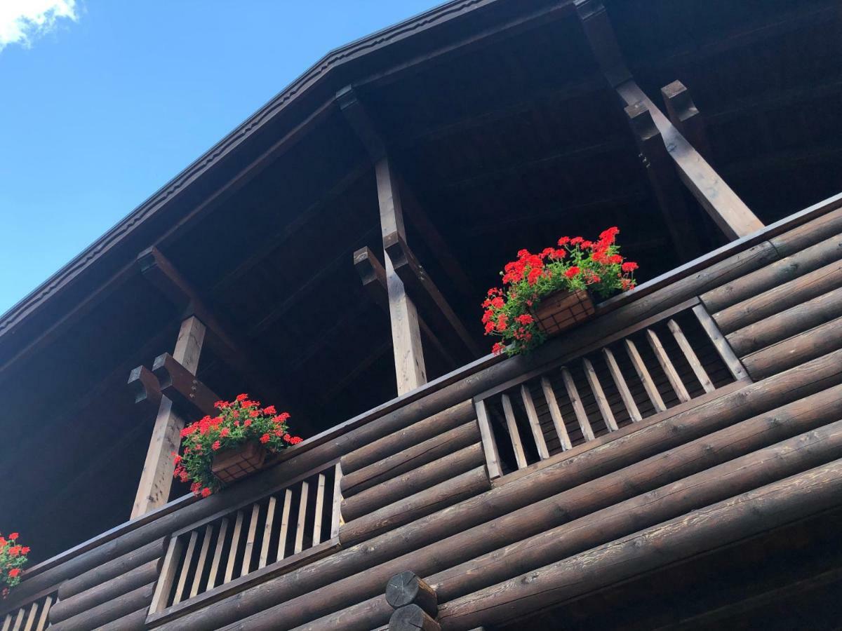 Chalet Rosa Dei Monti Piamprato Eksteriør bilde